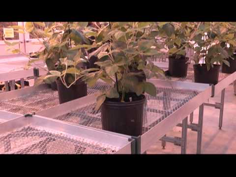 The Bioinformatics Lab at P3