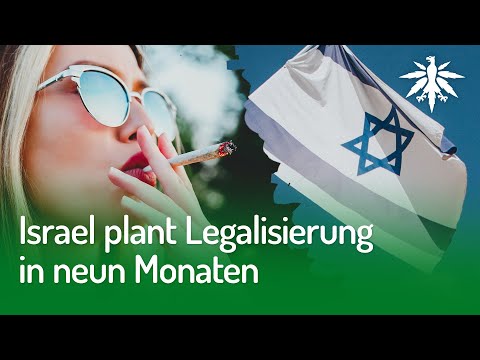 Israel plant Legalisierung in neun Monaten | DHV-News #271
