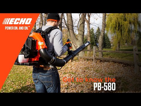 Echo PB-580T in Gaylord, Michigan - Video 1