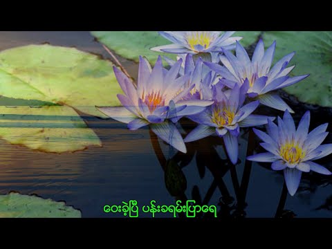 ဝေးခဲ့ပြီပန်းခရမ်းပြာ ခင်မောင်တိုး (1080P)