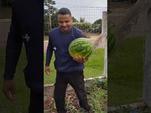 Planalto Da Serra MT,e Lugar de Fartura de Alimentos
