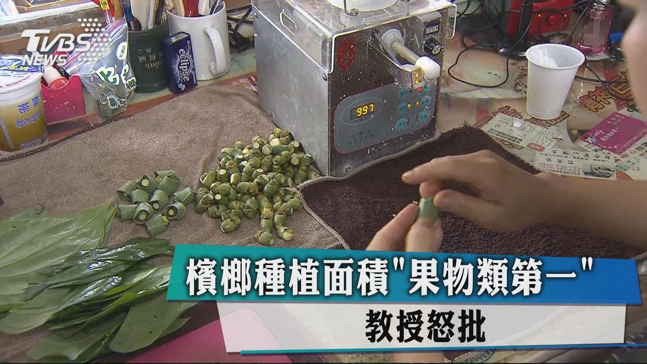 檳榔種植面積「果物類第一」　教授怒批