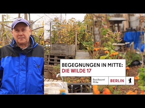 Begegnungen in Mitte: Die Wilde 17 in Gesundbrunnen