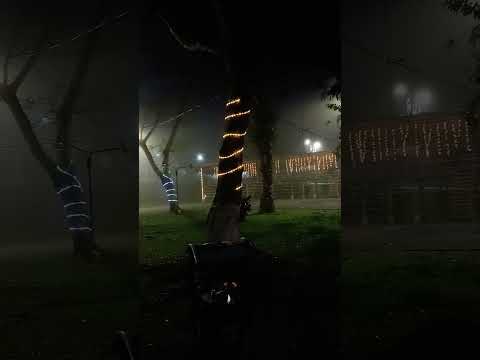 Parque én sabalito coto brus costa rica 🇨🇷 Puntarenas