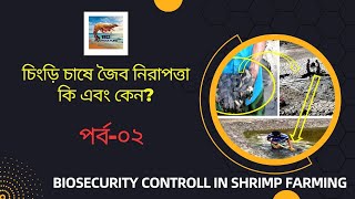 চিংড়ি চাষে জৈব নিরাপত্তা। পর্ব-০২