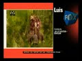 Fox Split Screen Credits September 26 2003