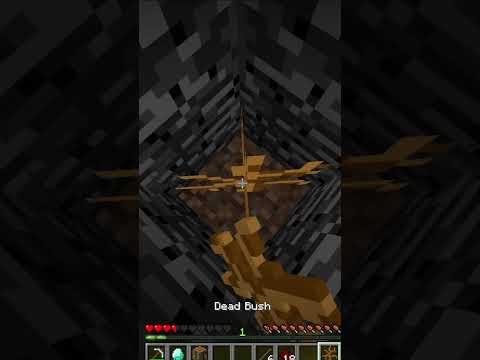 QuantumCrafter  - That Was Close😰😰😰, (World's Smallest Violin) #shorts #minecraft