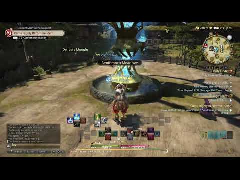 Working up to the Level 25 archer class quest: Final Fantasy 14