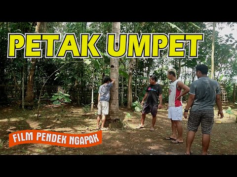 petak-umpet-film-komedi-ngapak-banyumas-komedi-baskom