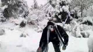 preview picture of video 'First Snow of 2008 in TEHRAN'
