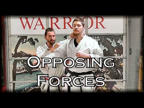 Waza Wednesday 3/22/17 - Bunkai Concept: Opposing Forces