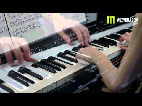 Studiologic Numa Concert pianino cyfrowe