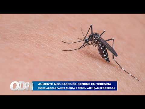 O Dia TV