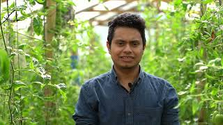 Diplomado Agroforestal Vivero UE