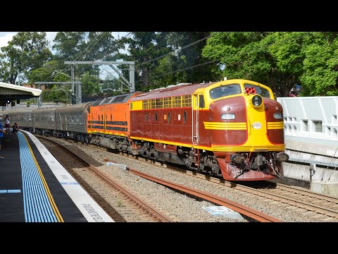 8L03 Climbing Through Beecroft - 13 February 2022