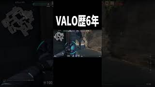 こう見えてもVALO歴6年目です・・・