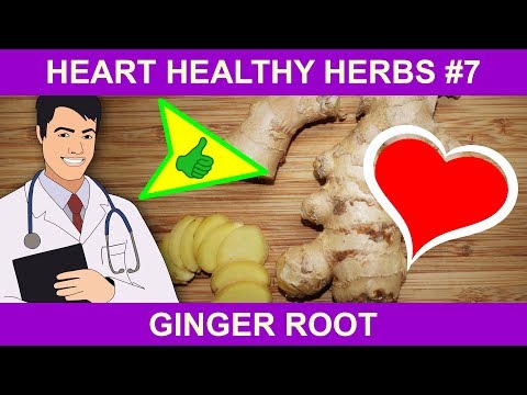 download lagu mp3 mp4 Is Ginger Good For Heart Patients, download lagu Is Ginger Good For Heart Patients gratis, unduh video klip Is Ginger Good For Heart Patients