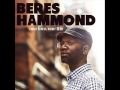 Beres Hammond - Can't Waste No Time [Nov 2012] [VP Records]