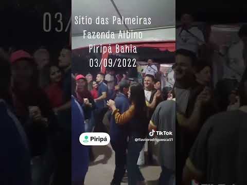 faz albino Piripá Bahia