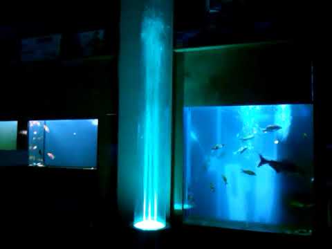 Watch Video on YouTube