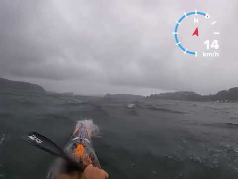 Allwave RS600 mellow DW in Pittwater