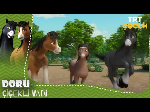 Doru | Çiçekli Vadi | 11.Bölüm