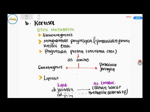 download lagu mp3 mp4 Kortisol, download lagu Kortisol gratis, unduh video klip Kortisol