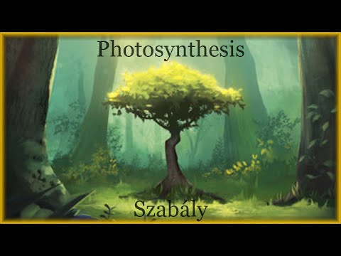 Photosyntesis szabály - Game & Dice