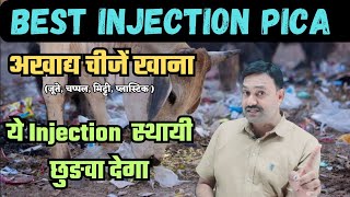 Download lagu PICA का बेस्ट इंजेक्शन 👍🏻 Pica Treatment in Cattle Medicine  गाय मिट्टी खाती है mp3