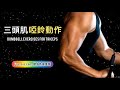 【家居健身教學 】呢3個啞鈴動作練手最有效|肱三頭肌|Francis Lam 健身教練團隊|Fitness System 私人健身中心