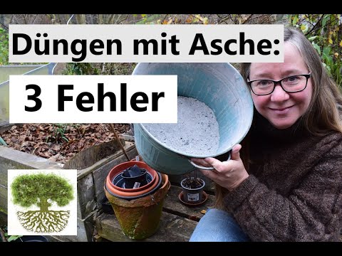 Achte darauf beim Düngen mit Asche