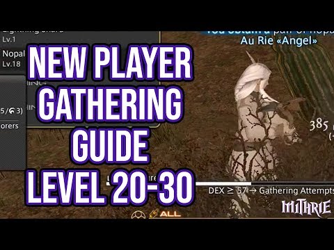 FFXIV 2.57 0619 New Player Gathering Guide Level 20 to 30