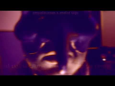 zmoalăcazan x matei cojo - într-o pădure pe hokkaido/liviu teodorescu