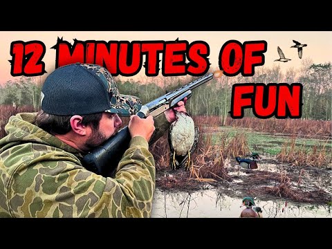 12 Minutes of PURE CHAOS...Georgia Duck Hunting at its Best!