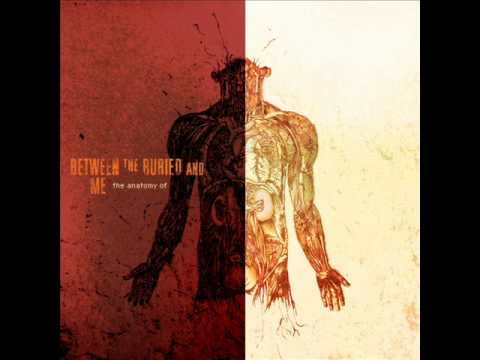 Between The Buried And Me - Malpractice