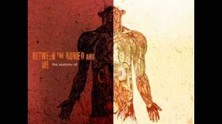 Between The Buried And Me - Malpractice