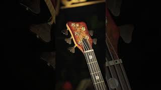 Video thumbnail for Warwick Limited Edition 2025 Masterbuilt - 5 String Version by Framus & Warwick