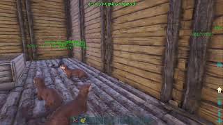 ARK