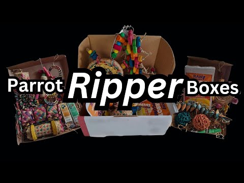 Parrot Ripper Box Small September 2024 Reveal, Give your birds a RIPPER surprise every month!