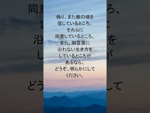 動画を再生