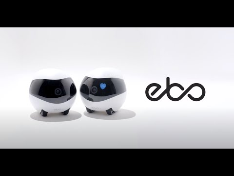 ペットカメラ（自走・撮影・会話 /iOS・Android対応） EBO SE(イーボSE) PEB0001-044-00 [無線 /暗視対応]
