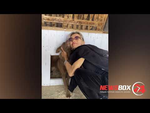 Зоозащитница, мешавшая службе отлова забирать собак, заявила, что не имеет претензий к «Аристократу»