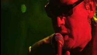 Alain Bashung - Vertige de l'amour ( live )