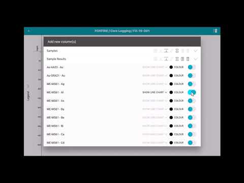 Creating A Strip Log In Mx Deposit Software Microlearning
