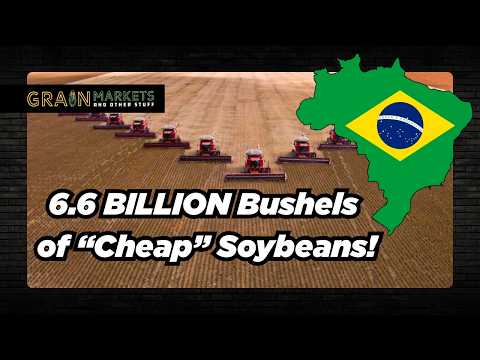 Brazil is Harvesting 6.6 BILLION Bushels of "Cheap" Soybeans - Why are Prices Rallying??