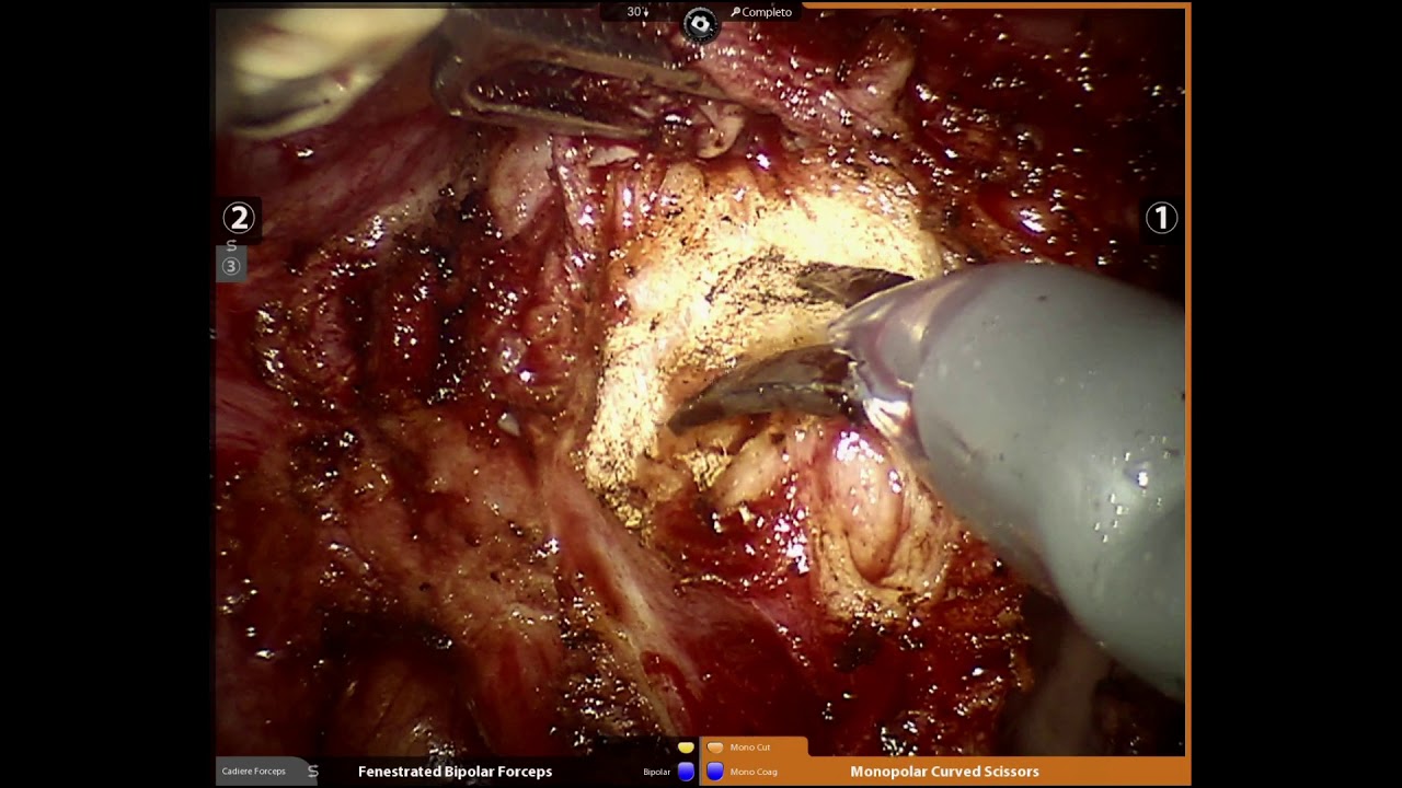 Thais Alencar Pinto Dos Santos-6