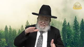 דף היומי בחצי שעה – מסכת זבחים דף נ”ח