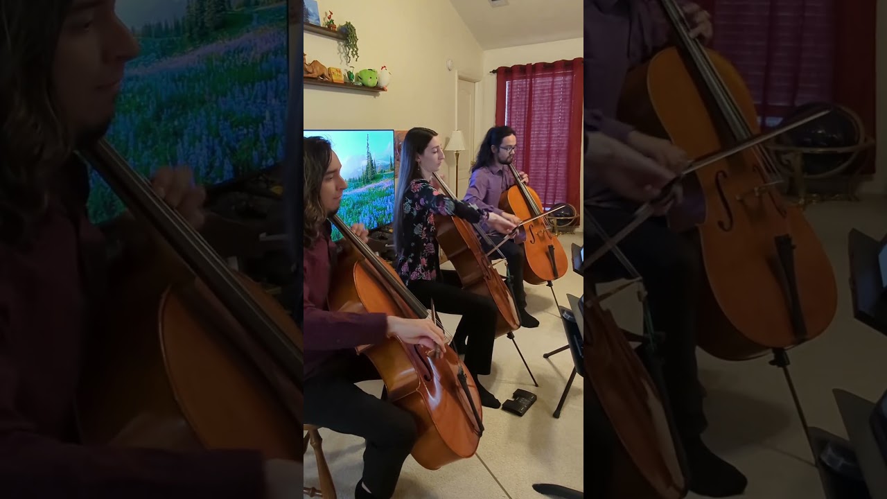 Promotional video thumbnail 3 for Trio Ponticello