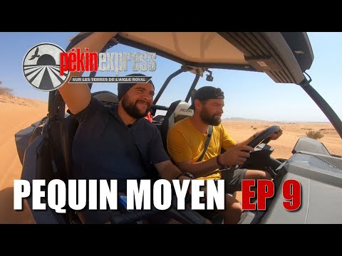 PEQUIN MOYEN - EPISODE 9