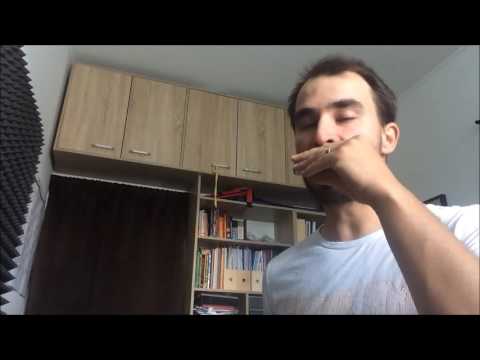 Juraj Schweigert - Harmonica Lesson: Black Hole Sun